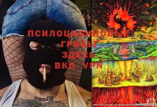 кокаин колумбия Богданович