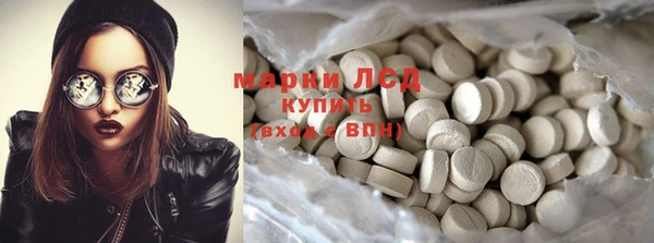 шишки Белоозёрский