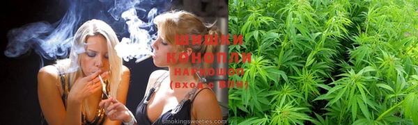 спайс Богородицк
