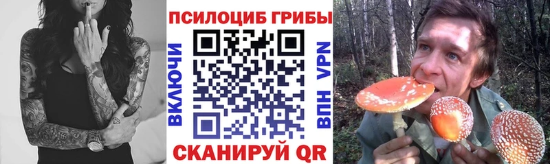 Псилоцибиновые грибы MAGIC MUSHROOMS  Ковров 